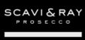 Scavi & Ray